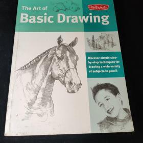 Art of Basic Drawing (Collector's Series)，