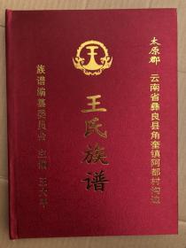 太原郡 王氏族谱 云南省宜良县角奎镇阿都村沟边  大16开布面精装