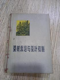 茶树栽培与茶叶初制（修订本 ）
