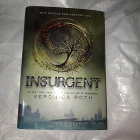 Insurgent