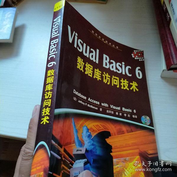 Visual Basic 6数据库访问技术