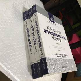 最高人民法院道路交通事故司法解释精释精解（增订版）