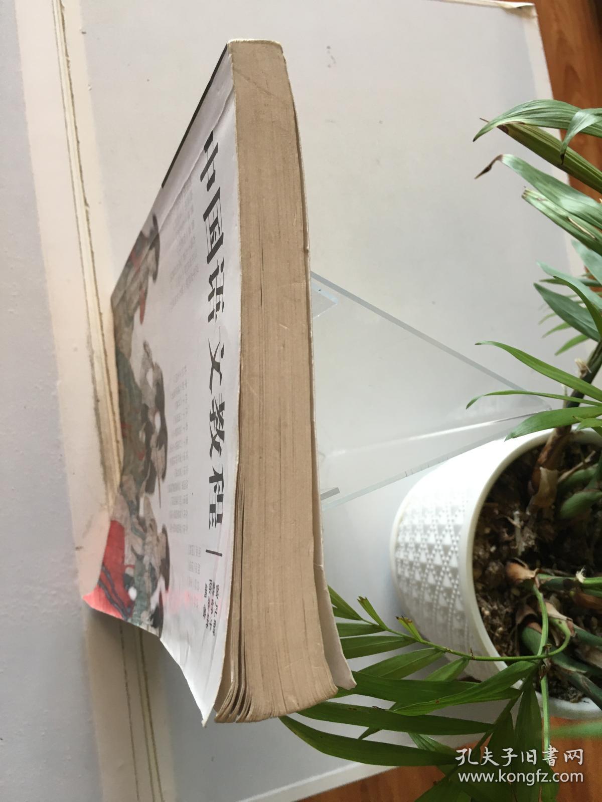 B4 中国语文教程