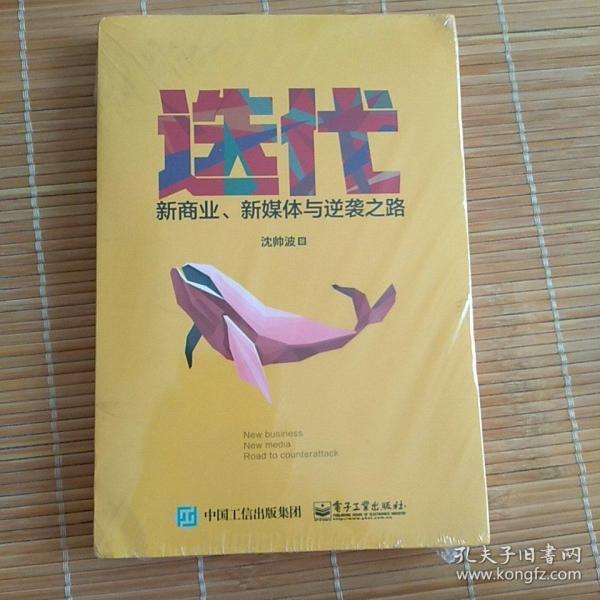 迭代：新商业，新媒体与逆袭之路