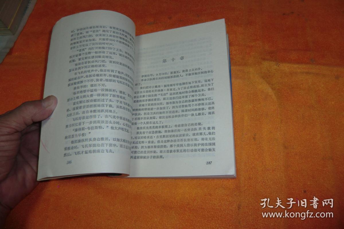 当代英美畅销小说丛书：人质