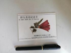 野生真花纪念卡：巫山小三峡 （塑料）