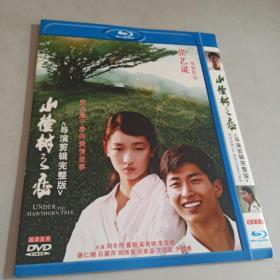 DVD 张艺谋电影作品――山楂树之恋（导演剪辑完整版）