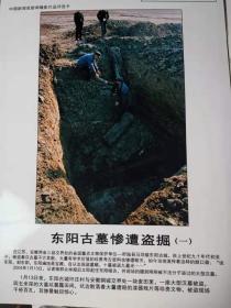 2004年中国新闻奖新闻摄影作品之十三《东阳古墓惨遭盗掘》六幅