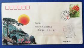 趣味封：2003年2000－24“君子兰－金丝君子兰”邮票自然实寄封（安庆实寄，戳清）