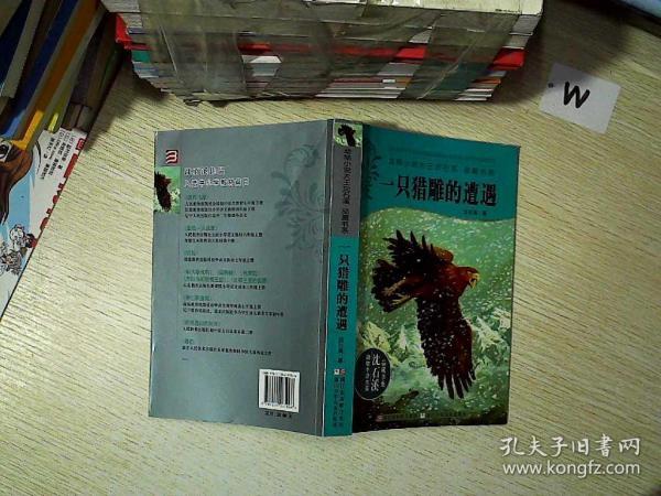 动物小说大王沈石溪·品藏书系·一只猎雕的遭遇   .