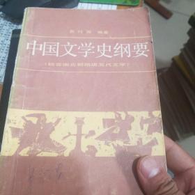 中国文学史纲要