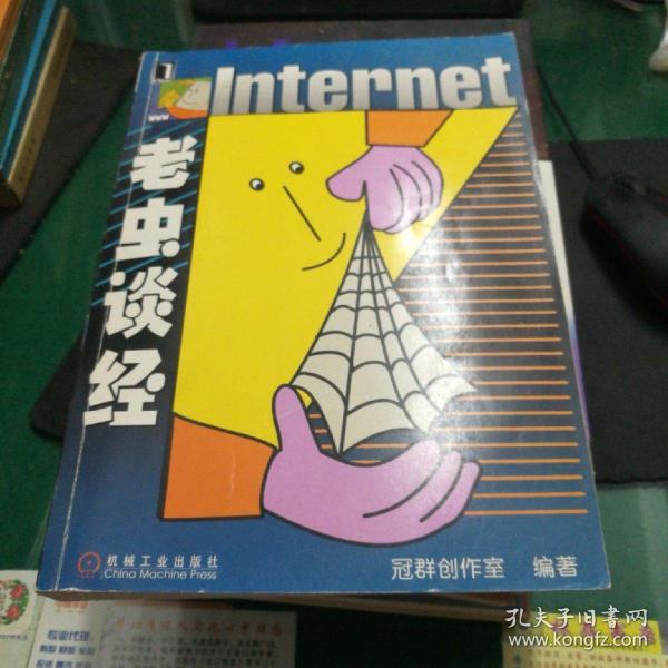 Internet老虫谈经大16开418页电脑计算机书籍