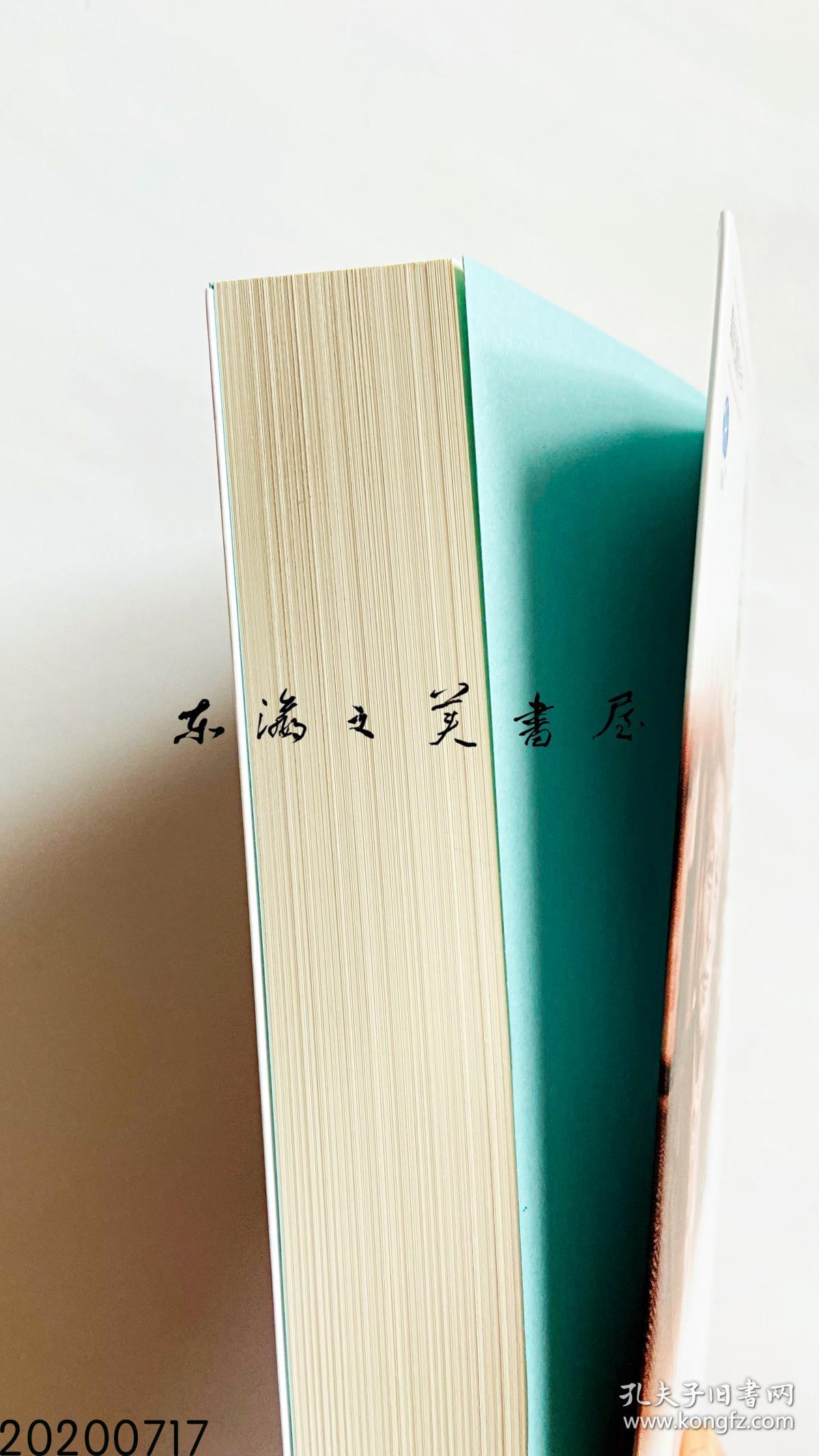 日文原版 小林秀熊的悲哀  0.5千克 2019年 480页 18.8 x 13.2 x 3 cm 讲谈社 桥爪大三郎