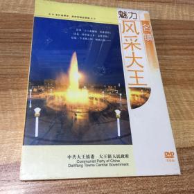 魅力名镇 风采大王（DVD）未开封