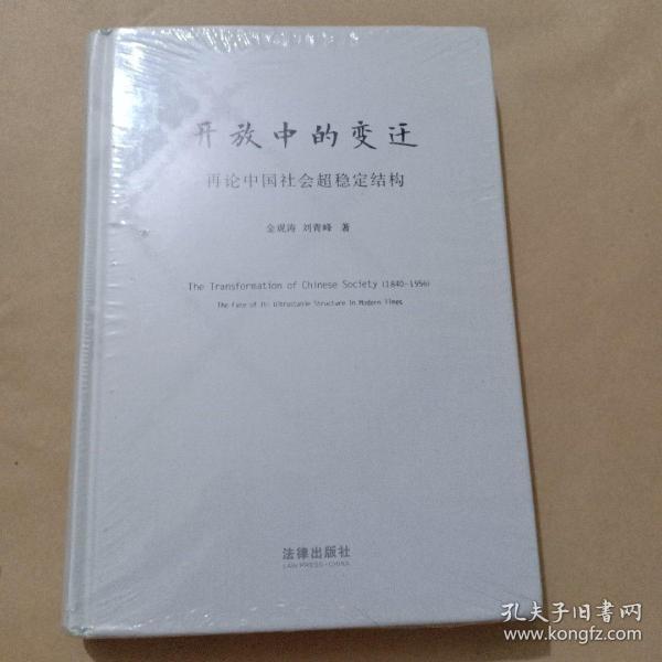 开放中的变迁：再论中国社会超稳定结构