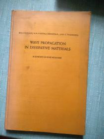 WAVE PROPAGATION IN DISSIPATIVE MATERIALS 耗散材料中的波传播