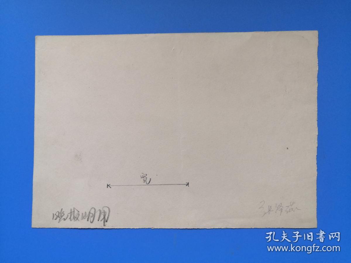 天津人民美术出版社年画编辑室副主任、《天津晚报》、《天津日报》社美术编辑张泽苾画稿一张