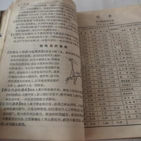 农村实用手册（1965年出版，保存完好的一本自然旧的百科全书）