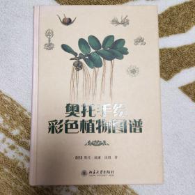 奥托手绘彩色植物图谱