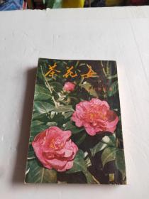 茶花女