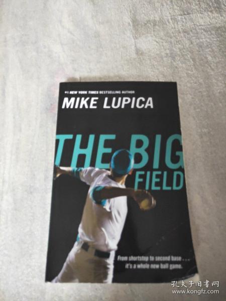 MIKE LUPICA THE BIG FIELD