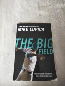 MIKE LUPICA THE BIG FIELD