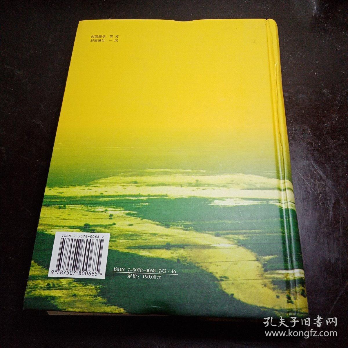 濮阳经济年鉴·创刊卷 精装本 一版一印仅印1500册