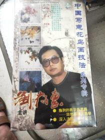 中国写意花鸟画技法 系列专辑 刘存惠主讲 （1-4集共16碟）全新未开封
