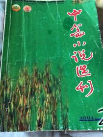 中篇小说选刊2004．2