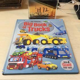 My First Big Book of Trucks