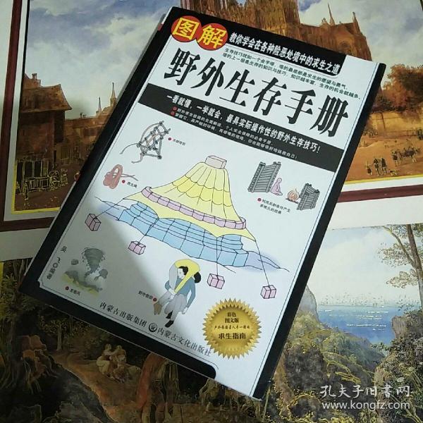 图解野外生存手册（彩色图文版）