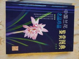 中国兰花名品珍品鉴赏图典