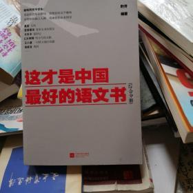 这才是中国最好的语文书：综合分册