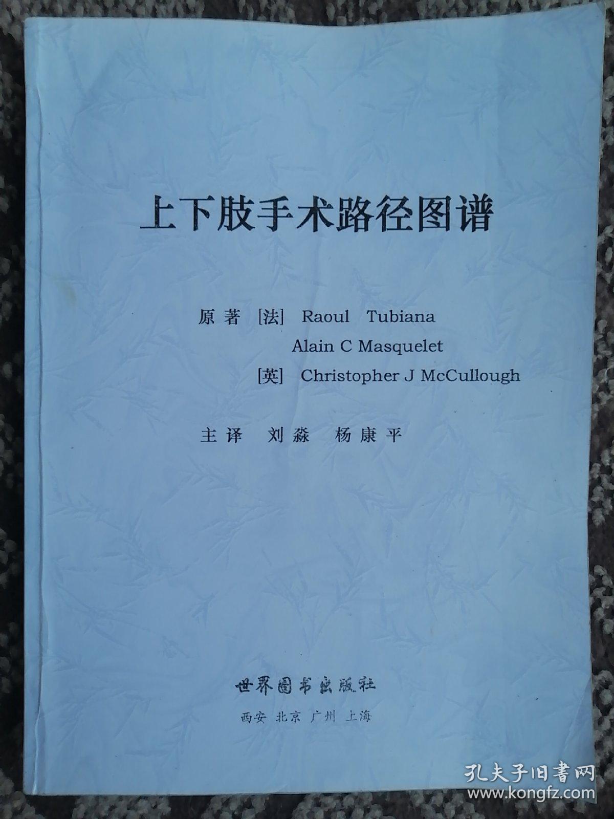 上下肢手术路径图谱