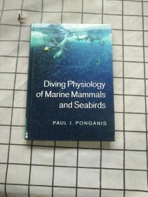 Diving Physiology of Marine Mammals and Seabird 正版现货