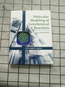Molecular Modeling Of Geochemical Reaction... 正版现货
