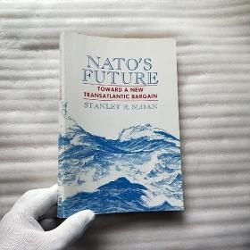 NATO'S FUTURE  小16开【内页干净】