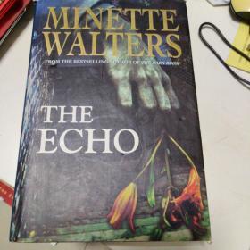 MINETTE WALTERS FORM THE BESTSELLING AUTHOR OF THE DARK ROOM  THE ECHO