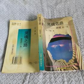 灵魂之路：顾城的一生