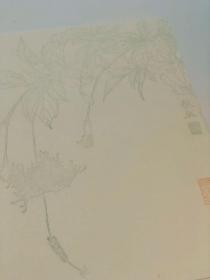 《毅然花笺》，姜毅然绘，一份八种，每种二张，共计十六张，尺寸为28.2*20.5cm，杨柳青画社80年代以罗纹宣印制