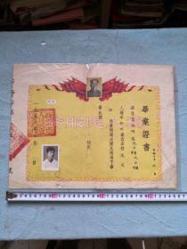 1953年西安市师范学校毕业