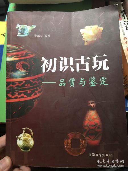 初识古玩：品赏与鉴定