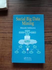 Social Big Data Mining