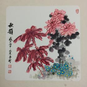 高纯贞。秋韵（菊花）。软卡。宫廷画画家，红袍艺术家。