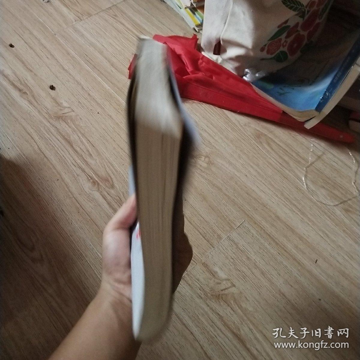 影响力：中国领袖风云录（《环球人物》10周年典藏书系）