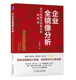 企业全镜像分析：投行战略与财务分析新框架