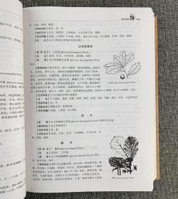 辽宁中药志.植物类