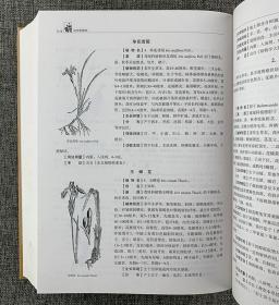 辽宁中药志.植物类