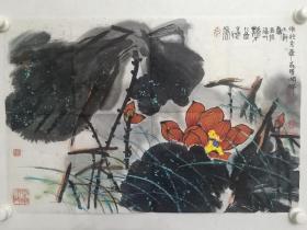 保真书画，福建名家郑大干国画佳作《香远益清》一幅，尺寸45.5×68cm