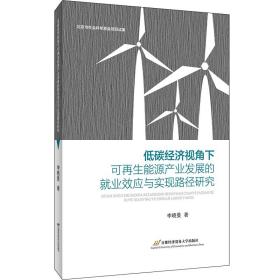 低碳经济视角下可再生能源产业发展的就业效应与实现路径研究